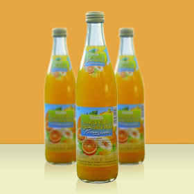 Grokj Orangen-Kürbis-Honigmelonen Drink